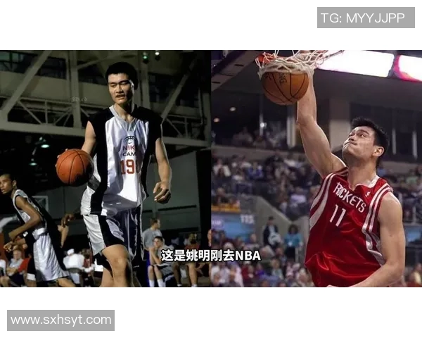 姚明增重前后变化对比分析他的职业生涯与篮球表现的影响