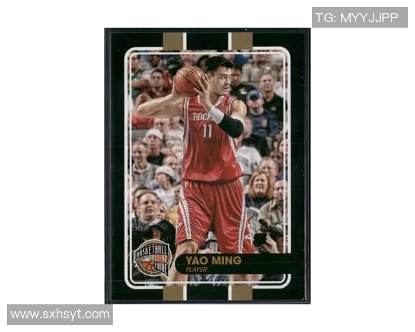 龙水姚明：从篮球巨星到文化使者的传奇之路与人生启示